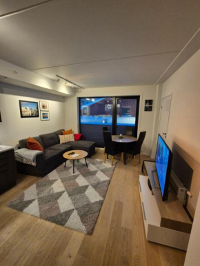 Modern central apartment with 2 bedrooms